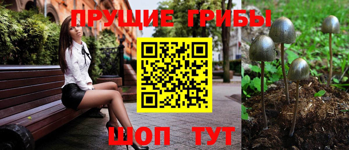 Псилоцибиновые грибы Psilocybe Сатка