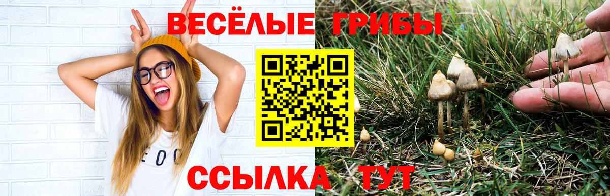 закладка  Вход с VPN  Сатка  Галлюциногенные грибы MAGIC MUSHROOMS 